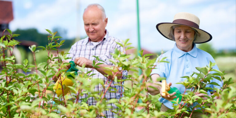 Elderly Mental Health